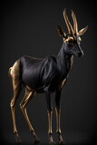 black gold Antelope