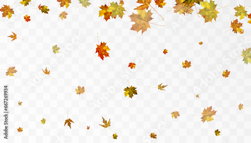 Realistic falling autumn leaves. Autumn flying orange foliage on transparent background, isolated vector illustration overlay effect.