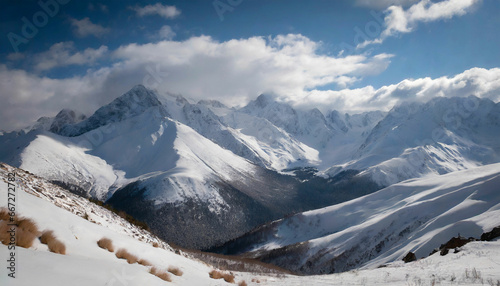 Winter Wonders Exploring the Snowy Mountains