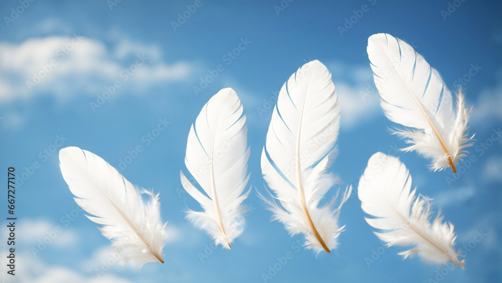 soft focus. A white fluffy bird feather on a blue sky background. The texture of a delicate feather. soft focus. A white fluffy bird feather on a blue sky background. The texture of a delicate feather.