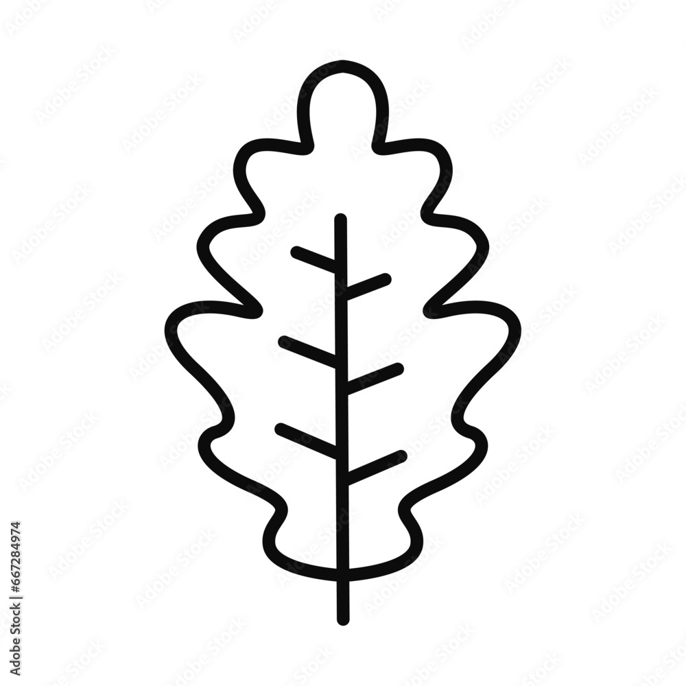 Isolated outline of an autumn leaf icon Vector Isolated outline of an autumn leaf icon Vector