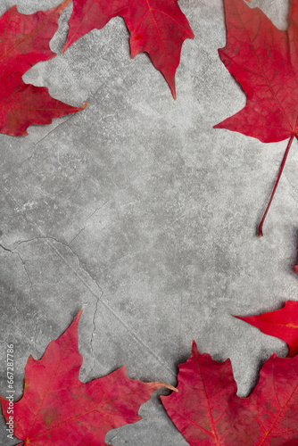 Maple leaves on a rustic stone background with room for copy