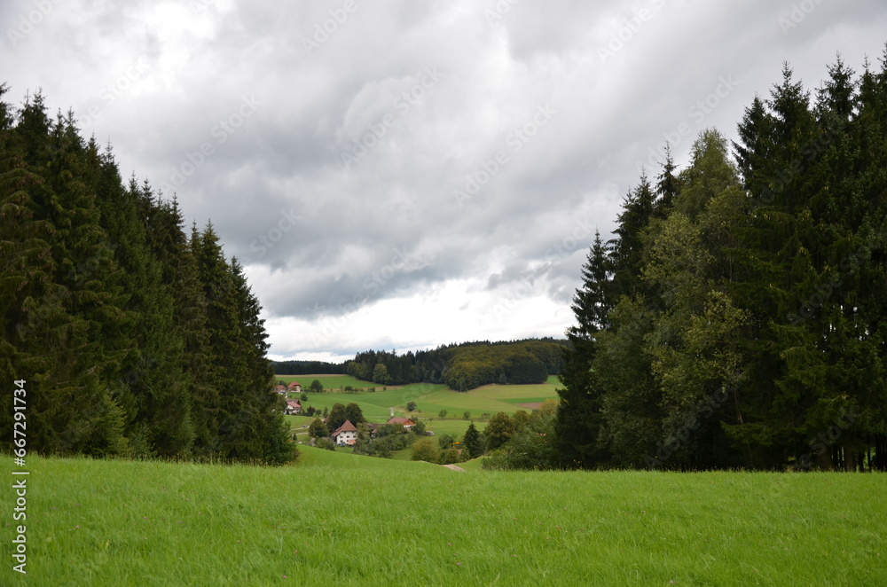 Blackforest landscape with trees and clouds 