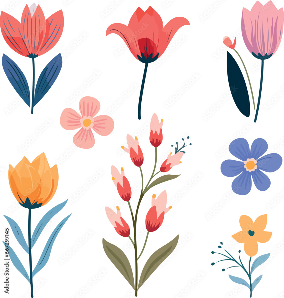 flowers flowers
