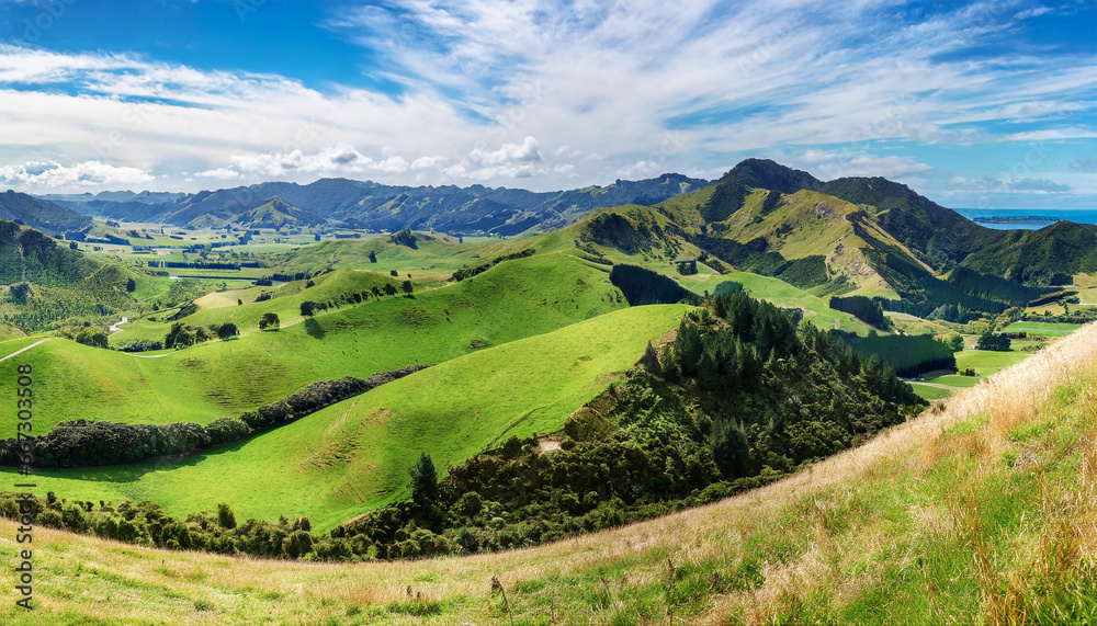 high resolution panoramic landscape with green hills in new zealand northern island - obrazy, fototapety, plakaty 