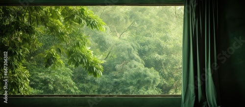 View of a tree through a window curtain surrounded by green