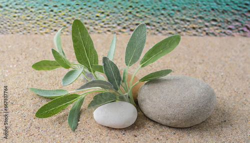 minimalist nature sage twig and pebble rocks on sand serene botanical background