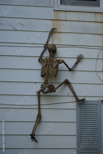 skeleton climbing the house
