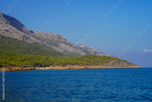 Pine tree near mediterranean sea and pine cones and needles, blue sea green tree on the hill © 7