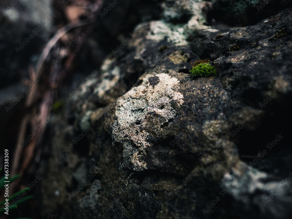 Stone surface