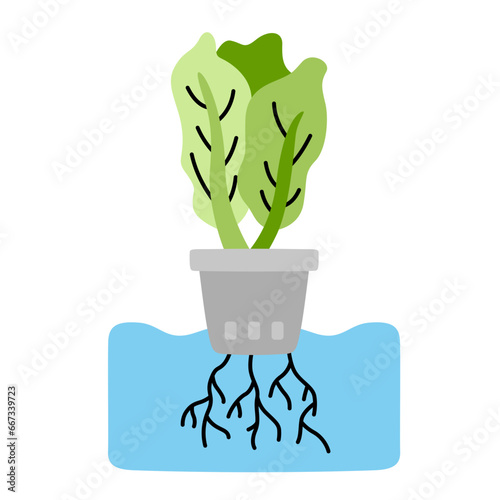 spinach plant hand drawn illustration
