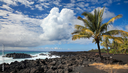 lava flow of 1801 kekaha kai kona coast state park mahaiula beach big island hawaii volcanic rock prosopis pallida the coconut tree cocos nucifera cumulus humilis cloud photo