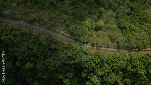 Aerial view of beautiful Campuhan Ridge Walk surrounded by tropical forest in Ubud, Gianyar, Bali, Indonesia. Balinese natural jogging track with morning sunlight. Footpath in the mountain ridge. photo