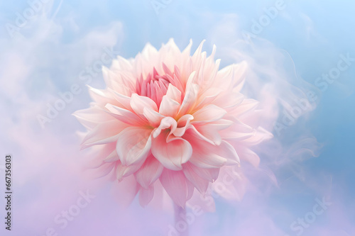 Dahlia flower in soft color and pink smoke texture on pastel blue blur style background. Romantic invitation card or greeting card. Spring or summer nature blooming concept.