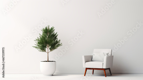 Modern white armchair and potted green fir tree in an empty room with white wall and painted wooden floor. Copy space.