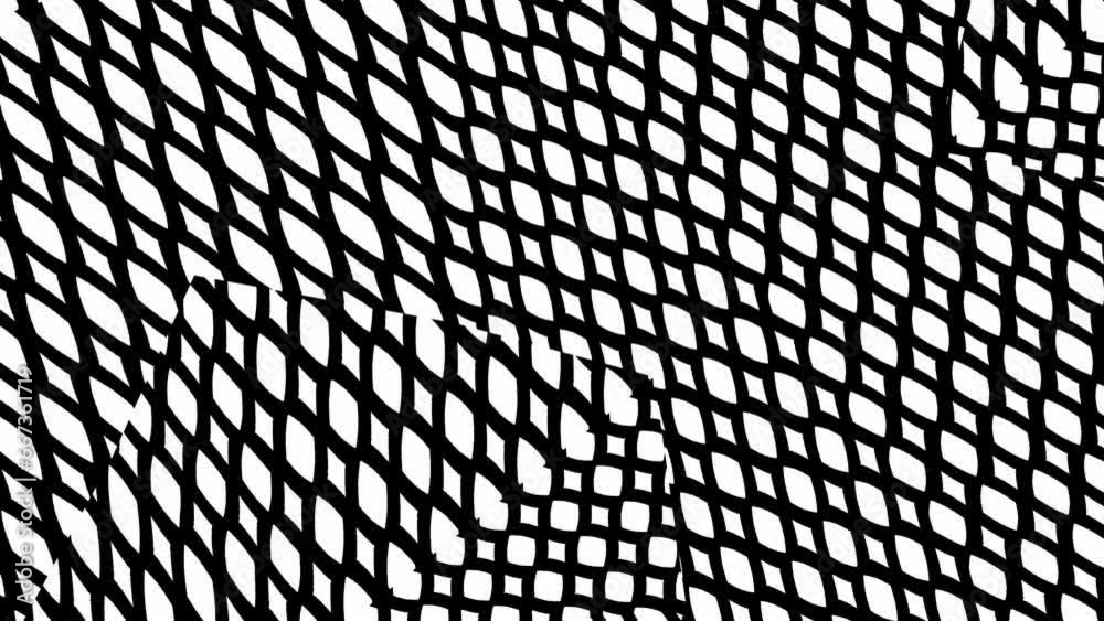 Abstract background with black and white stripes.Seamless loop video.Monochrome pattern. Abstract background with black and white stripes.Seamless loop video.Monochrome pattern.