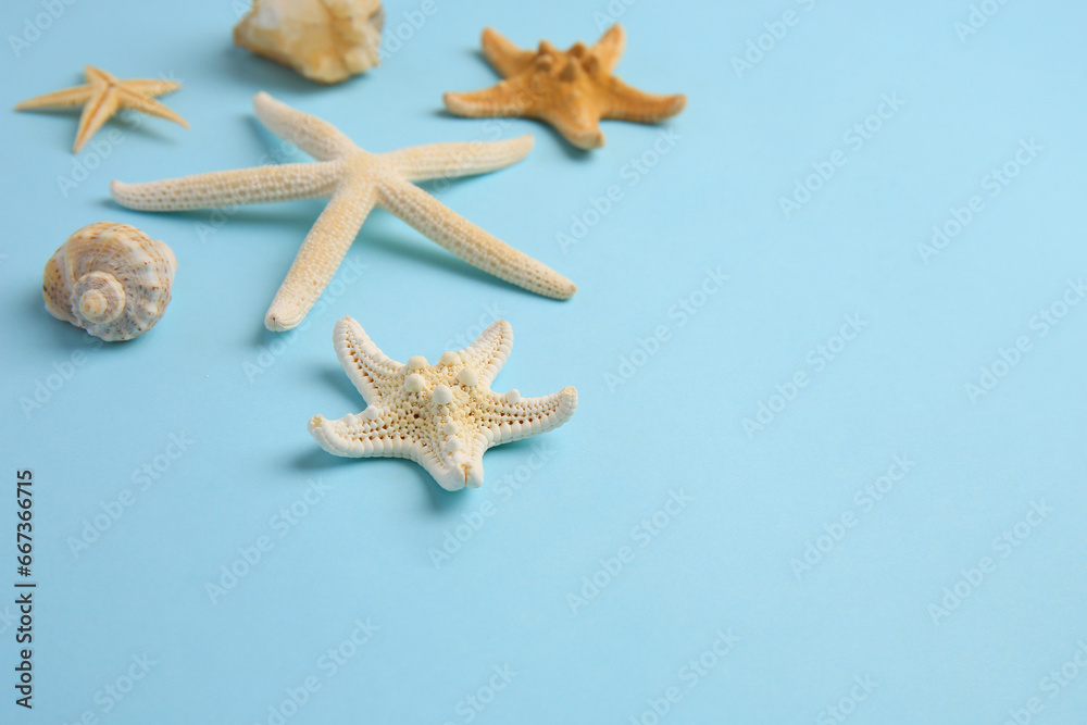 Beautiful starfishes and sea shell on light blue background. Space for text Beautiful starfishes and sea shell on light blue background. Space for text