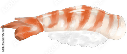 steam shrimp sushi illustration