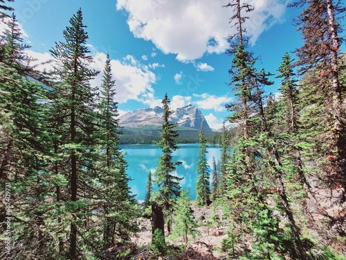 Rocky Mountains, Opabin Prospect, Lake OHara, Yoho photo