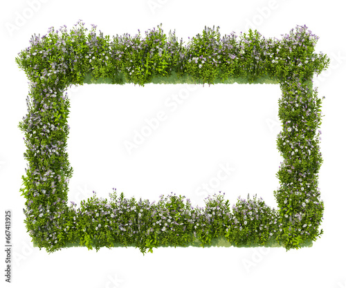 Garden with various flowers decorated on transparent background