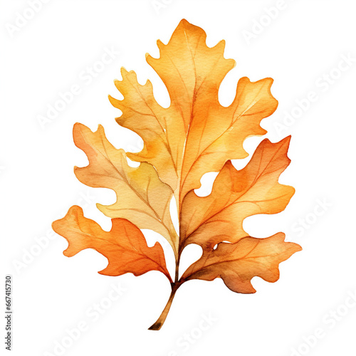 Watercolor illustration of a fall oak leaf. Isolated clipart on white background