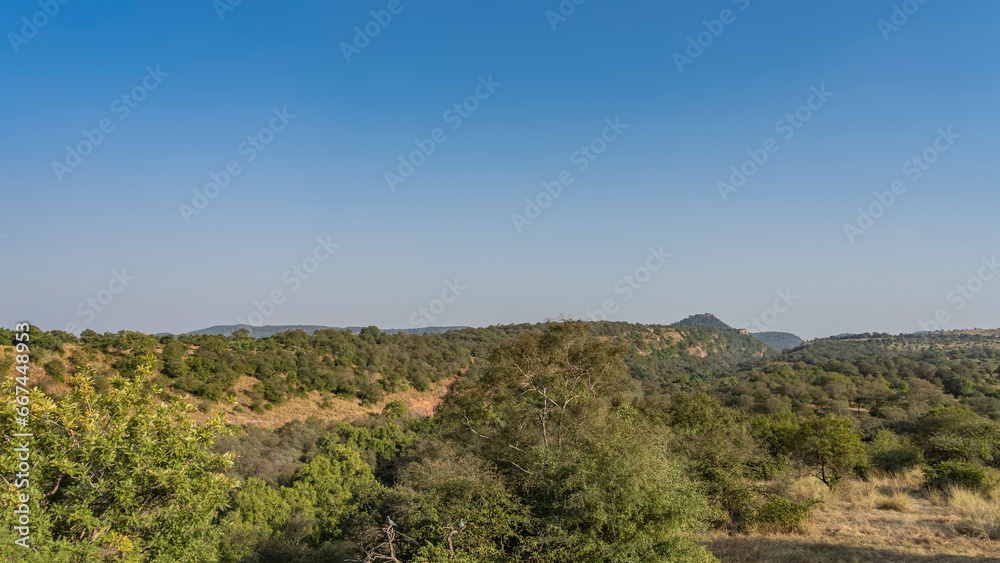 A landscape of endless jungles illuminated by the sun. Thickets of trees in the foreground, mountains in the distance. Clear blue sky. Copy space. India. Ranthambore National Park.