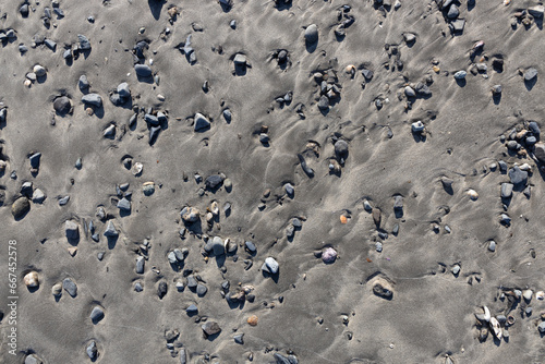 砂と石が混じり合う海岸 