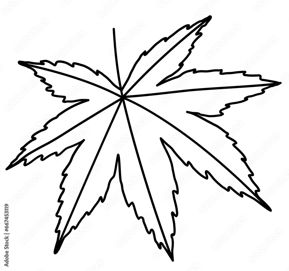 Leaf icon. Autumn, summer and spring plant. Vector flat illustration in cartoon style. Line art Leaf icon. Autumn, summer and spring plant. Vector flat illustration in cartoon style. Line art