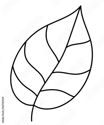 Leaf icon. Autumn, summer and spring plant. Vector flat illustration in cartoon style. Line art 