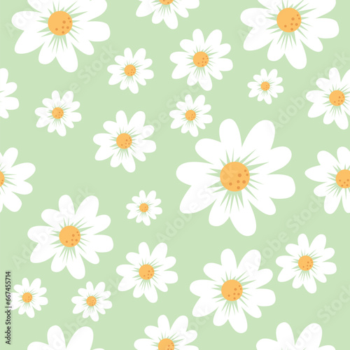 seamless pattern with camomiles