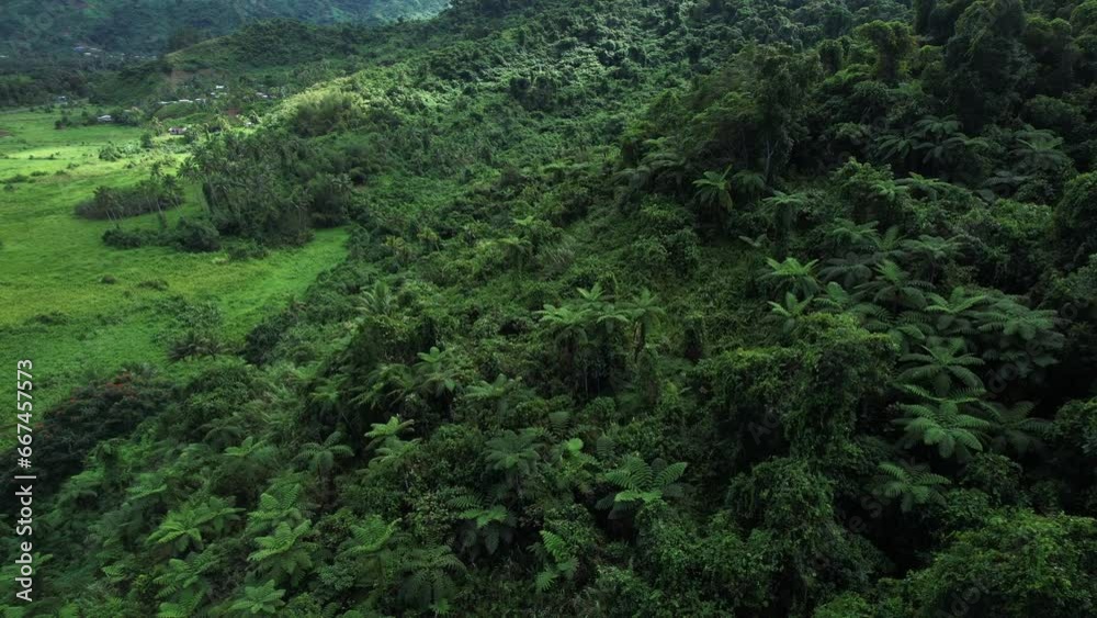 Aerial top down view of tropical jungle green rainforest. Bird eye view of Green exotic wilderness landscape. Travel tourism concept. Drone shot of thick brazil Costa Rica Fiji forest. Wild place Aerial top down view of tropical jungle green rainforest. Bird eye view of Green exotic wilderness landscape. Travel tourism concept. Drone shot of thick brazil Costa Rica Fiji forest. Wild place