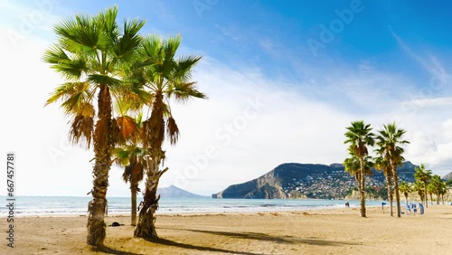 Beautiful beach with palm tree.. Mountain Penyal d'Ifach. Calpe beach, Spain.