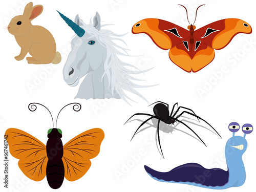 Collection of different animals and insects for compositions and collages vector illustration © Diana Wolfskin