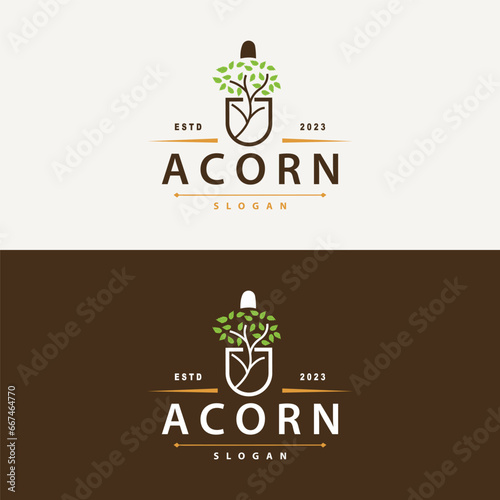 Acorn Logo, Nut Design With Oak Leaves Simple, Templet Illustration Vector