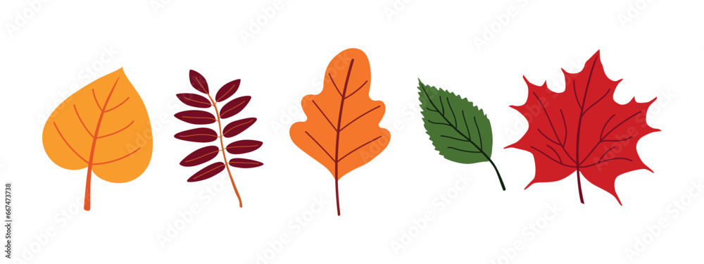 Fototapeta premium Set of illustrations of colorful autumn leaves.