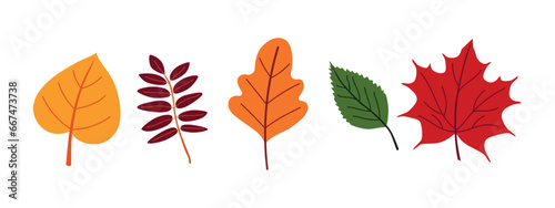 Set of illustrations of colorful autumn leaves.