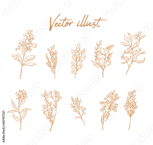 Floral branches of different types flower, hand drawn wedding herb, Botanical rustic, vector