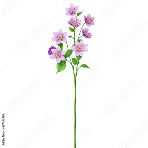 purple flowers transparent background © erlin