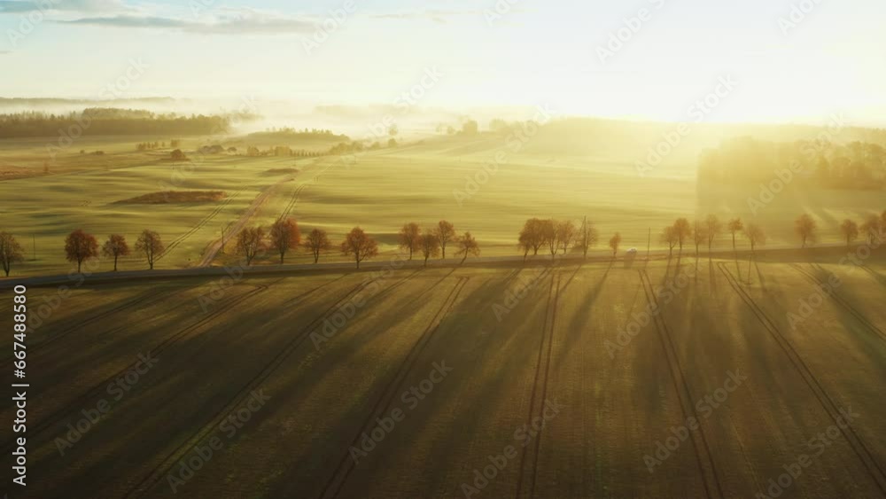 A car driving through bright golden fields in autumn A car driving through bright golden fields in autumn