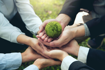Corporate social responsibility CSR.World Environment Day. business hands holding the green world for the Sustainable Development Goals. Responsibility for the environment. Save and protect the world.