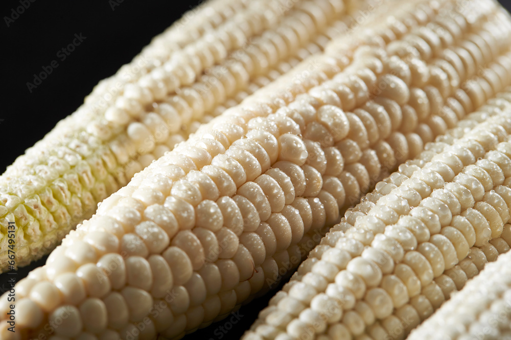 close up of corn close up of corn