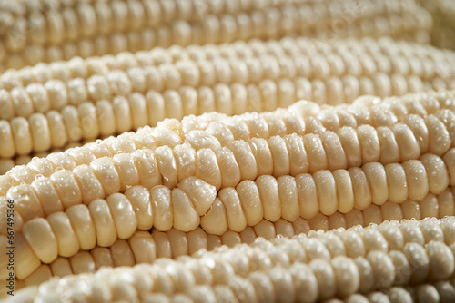 Close-up of corn with water droplets