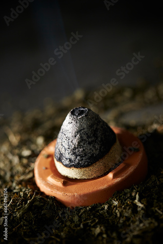 Chinese medicine moxibustion therapy, Herbal products 