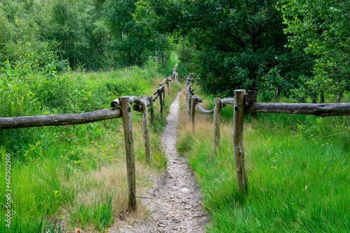 Hiking trail through the woods with a wooden fence.