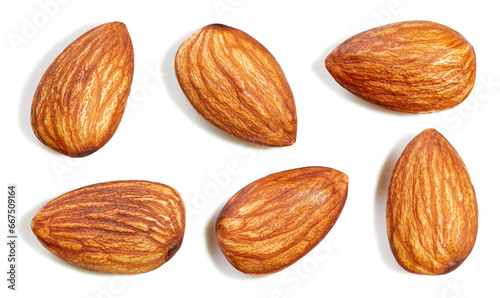 Fresh organic almond isolated