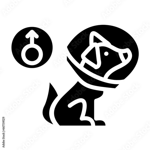 Spay Icon Style