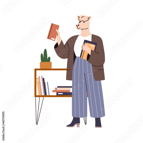 Anthropomorphic animal reader with books. Smart llama character standing, choosing business literature to read. Teacher at library shelf. Flat vector illustration isolated on white background