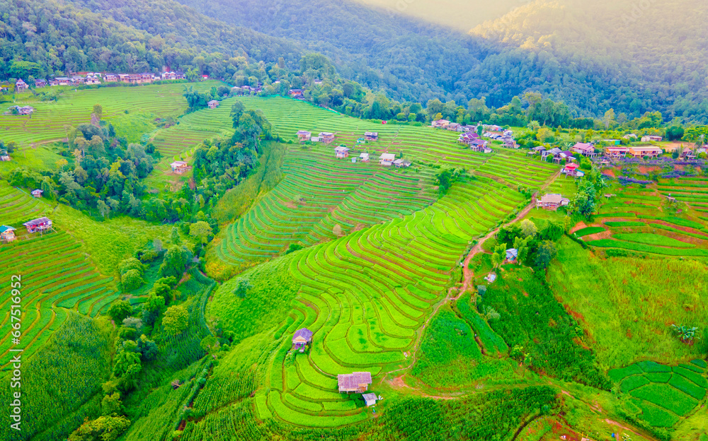 Terraced Rice Field in Chiangmai, Thailand, Pa Pong Piang rice terraces, green rice paddy fields during rain season. Small homestay farms in the mountains of Thailand