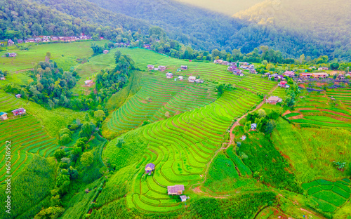 Terraced Rice Field in Chiangmai, Thailand, Pa Pong Piang rice terraces, green rice paddy fields during rain season. Small homestay farms in the mountains of Thailand