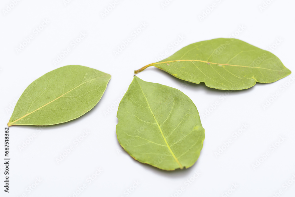 Trzy liście laurowe suszone leżą na białym tle - obrazy, fototapety, plakaty 